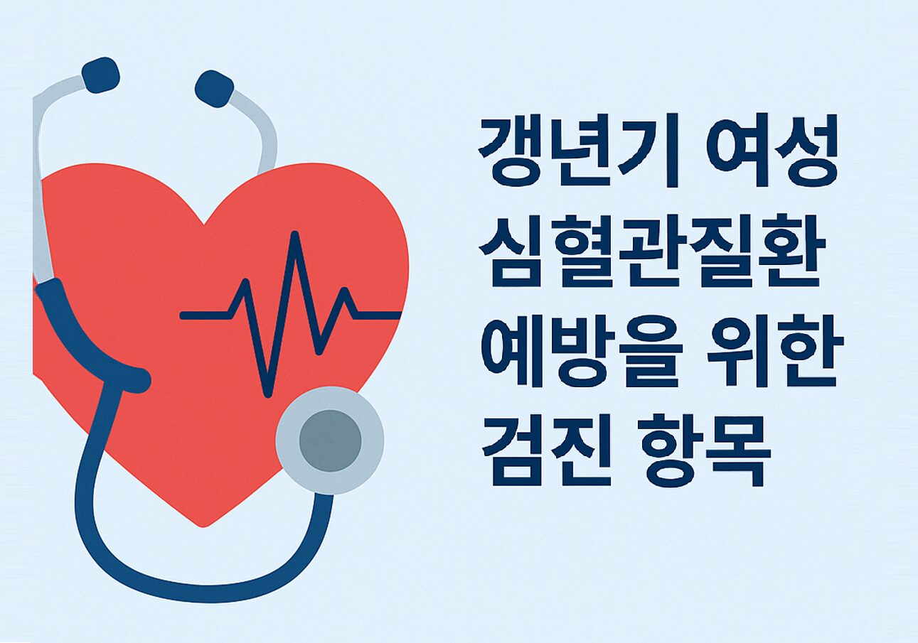 갱년기 여성 심혈관질환 예방을 위한 건강검진 가이드 – 혈압, 혈액검사, 심장초음파